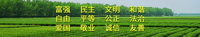 金年会